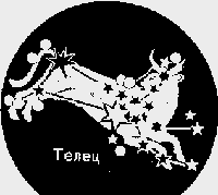 Телец-мужчина. Телец знак зодиака