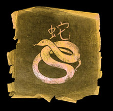 Знак зодиака змея