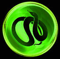 Знак зодиака змея