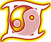 мужчина Близнец знак зодиака