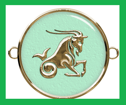 Знак зодиака – январь