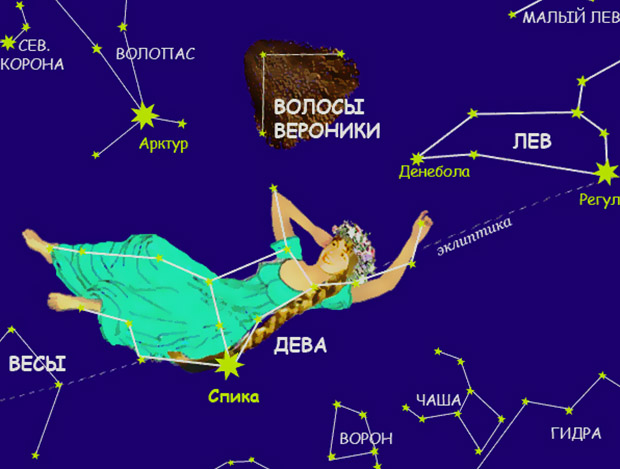 Знак зодиака мужчина – дева